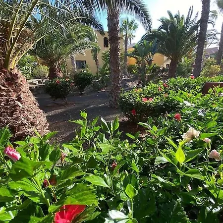 Comfortable With Park And Pools Corralejo